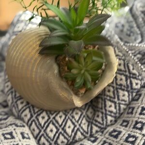 Gold Shell Planter with Green Succulents